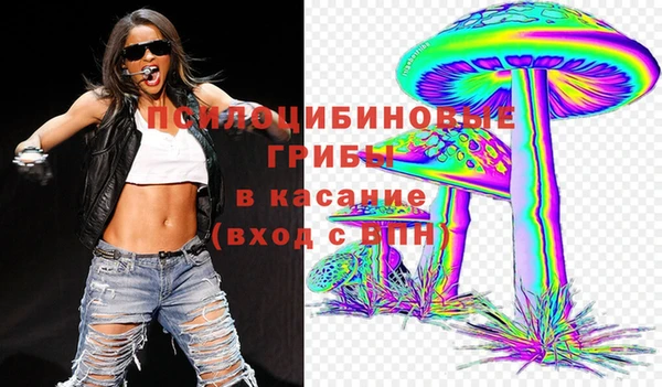 бошки Мегион
