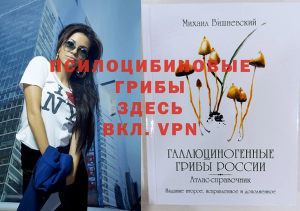 бошки Мегион