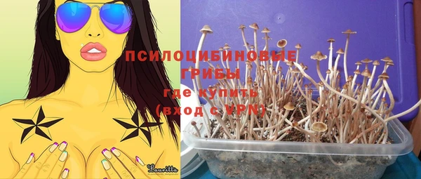 прущая мука Медногорск