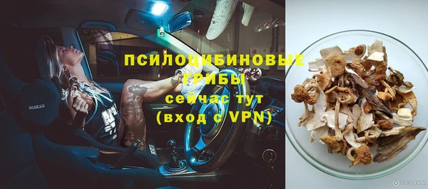 бошки Мегион