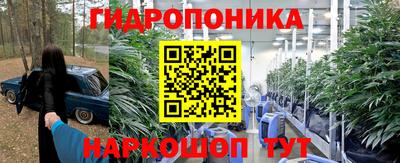 СК Донской