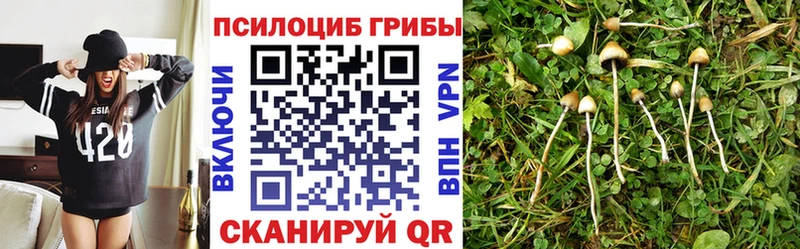 Галлюциногенные грибы Psilocybe  Назрань 