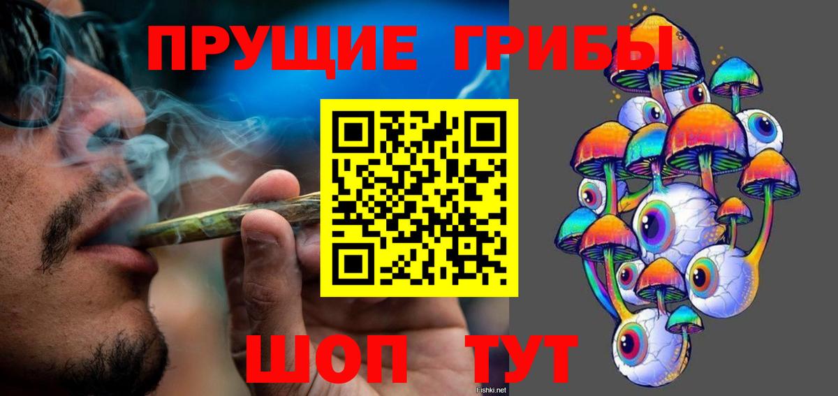 Назрань  Псилоцибиновые грибы MAGIC MUSHROOMS  Вход с VPN 