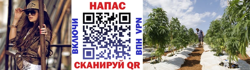 Бошки марихуана VHQ Назрань